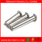 Mushroom Head Round Head Solid Rivet in Stainless Steel