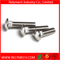 Hex Bolt Hex Socket Bolt Carriage Bolt with Pan Head