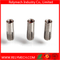 Stainless Steel Drop in Expansion Anchor Bolt