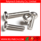Plum Flower Head Pan Head Machine Screw in Stainless Steel 304