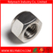 Stainless Steel Hex Nylon Insert Lock Nut M2-M20