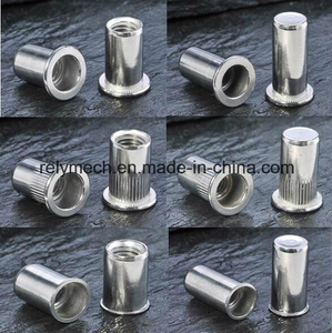 Stainless Steel/Carbon Steel Rivet Nut for Auto/Aviation/Railway