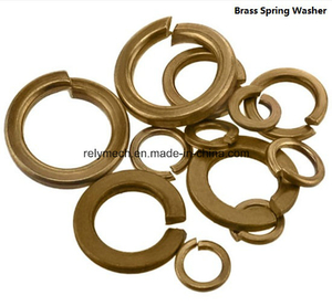 Stainless Steel 201/304/316/Zinc Plated/Black Oxide Spring Washer