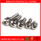 Phillips Combination Screw Phillips Pan Head Self Drilling Screw