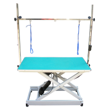Electric Grooming Table For Dog