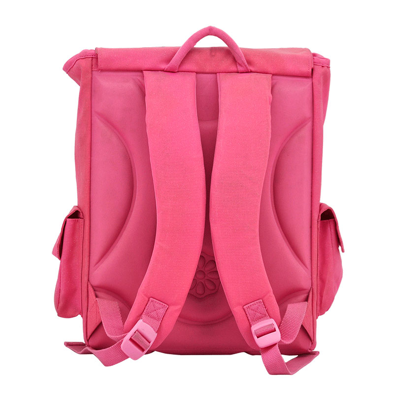 Backpack student book english (2)