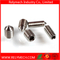Hex Socket Head Set Screw with Cone Point in Stainless Steel 304
