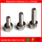 Phillips Hex Head Combination Screw/ Sem Screw with Washer in SUS304