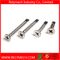 Phillips Combination Screw Phillips Pan Head Self Drilling Screw