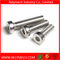 Hex Bolt Hex Socket Bolt Carriage Bolt with Pan Head