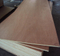 commercial plywood with okume film 