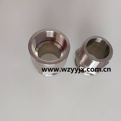 NPT Male Female Hexagon Clamped Adapter Stainless Steel