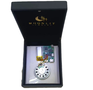 30' Voice Recording Recordable Sound Chip for Greeting Card with Mic And 2 Button on And Off Can Record And Remove Many Times