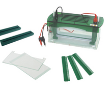 FSF-JX5 Vertical Electrophresis Tank