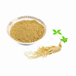 استخراج الجينسنغ