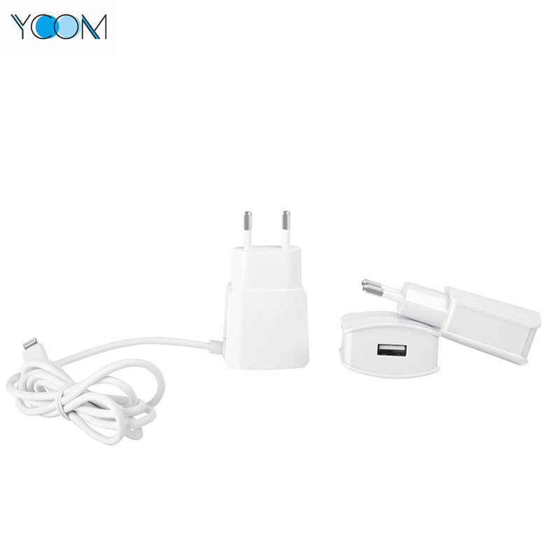 High Quality USB Wall Charger with Cable 5V 2.4A