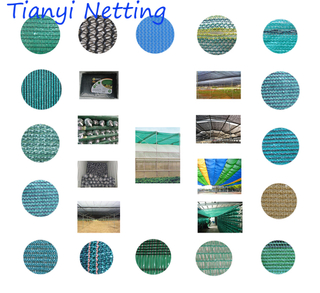 Sunshade net