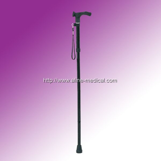 Walking Stick