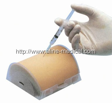 Multi-Functional Intramuscular Injection Training Pad