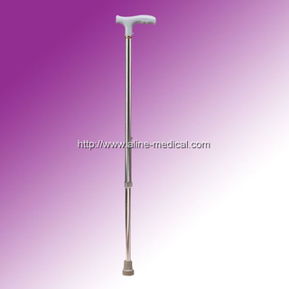 Walking Stick