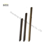 Concrete Formwork Dywidag Metal Threaded Bar Tie Rod 