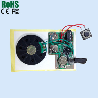 Customized recordable voice recognition chip with IC chip