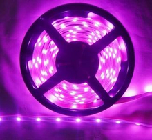 Flex LED Light Bkflex028