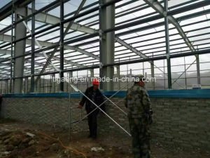 Edificio multi de la estructura de acero del palmo de la granja de pollo de la prueba del moho
