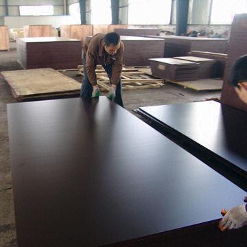 Poplar Melamine Laminated Plywood/Boardwith Best Prices for Constructions
