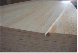 12mm Pine Plywood with C/D Grade Poplar Core for Furniture
