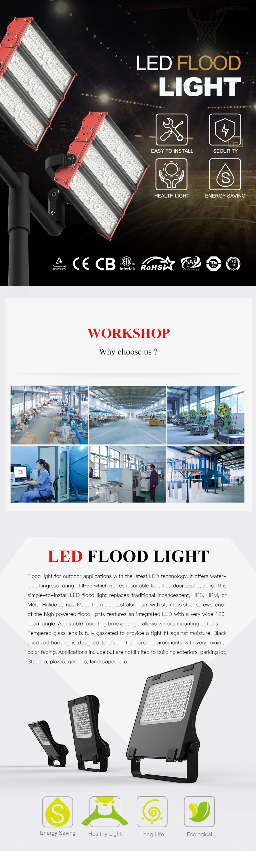 FL33 Series Driverless LED Flood Light