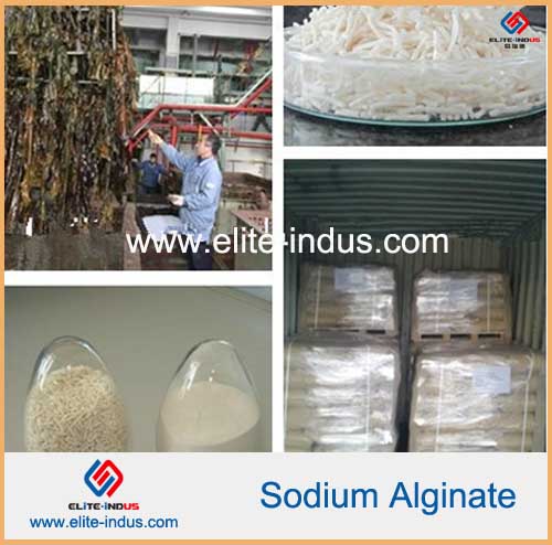 Sodium Alginate - Sun Impex