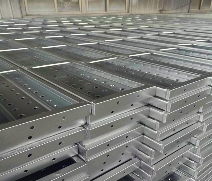 scaffold plate (1).jpg