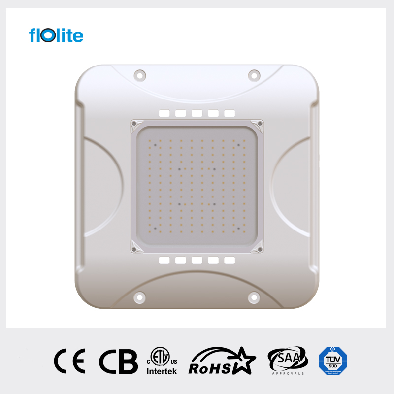 CP05A LED Canopy Light