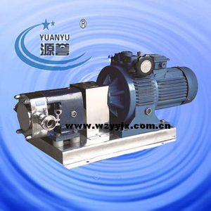 Stainless Steel Rotary Lobe Pump