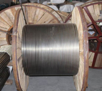 AISI 316 Stainless Steel Coiled Tubing