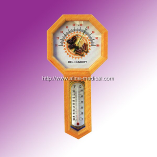 Indoor Thermometer