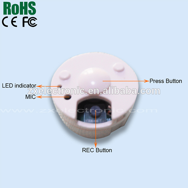 Custom voice record/playback device for toys