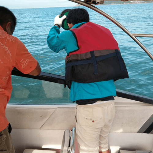  How Piezo Became A Globally Well - Known Brand