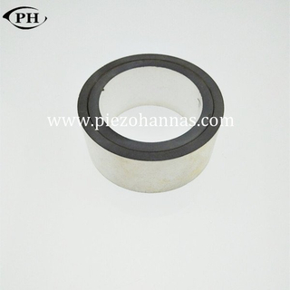 Piezresistive Pzt Piezo Ring Piezoelectric Transducer Crystals for Ultrasonic cleaner