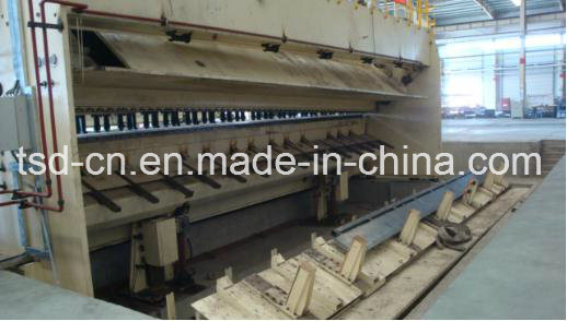 CNC Fms剪切生产线（ZS-QD11K-16&times;9000）