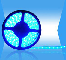 Flex LED Light Bkflex018