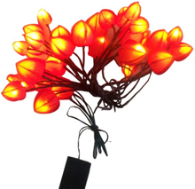 LED String Light Bkled010