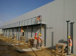 Casa prefabricada de calidad superior para vivir/el hogar prefabricado/el hogar prefabricado del envase