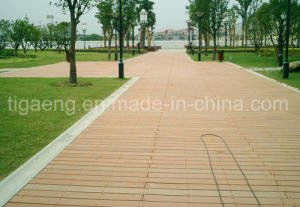 Suelo impermeable resistente al fuego del Decking de WPC para el jard&iacute;n