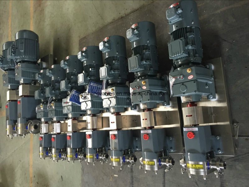 Нержавеющая сталь Ss304 Ss316L шоколадных конфет с теплоизоляционным кожухом вращающийся насос