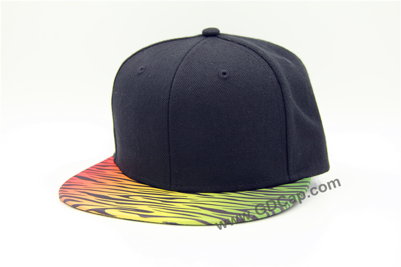 Snapback Cap029