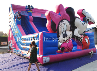 RB6073（9x6m） Inflatable Customize Cartoon Theme Slide for Kids and Children, Inflatable High Slide