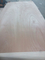 okume film plywood