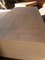 one time hot press quality Plywood